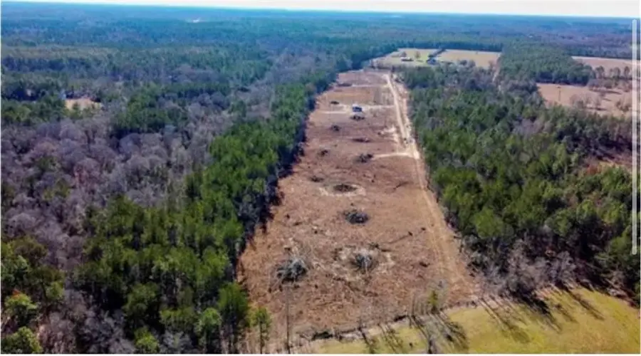 1 Mixon Road, Amite, LA 70422 - #2