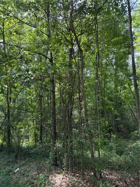 Demarco Lane, Hammond, LA 70403 - #2