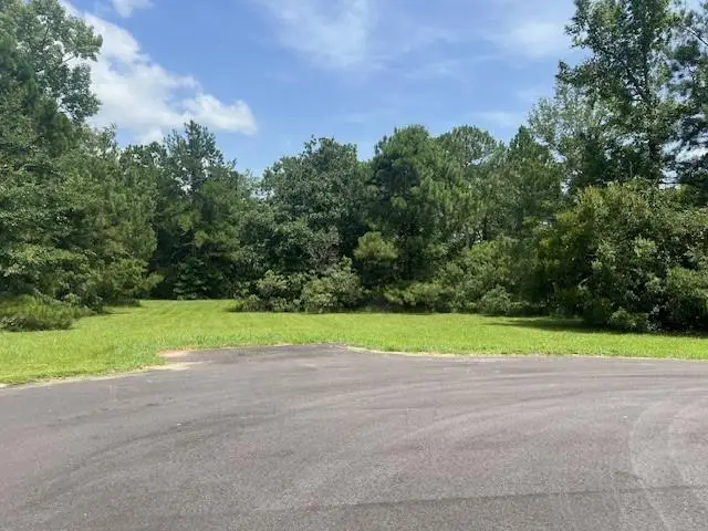 24520 Paradise Lane, Lacombe, LA 70445 - #2