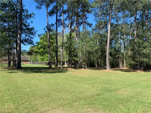 Tract Ba-1 Ivy Springs Drive, Independence, LA 70443