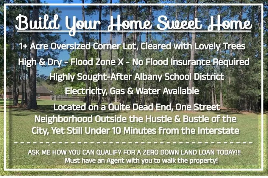 Tract Ba-1 Ivy Springs Drive, Independence, LA 70443 - #2