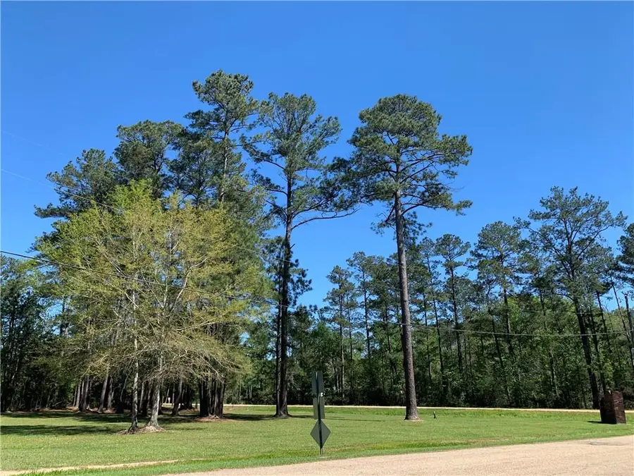 Tract Ba-1 Ivy Springs Drive, Independence, LA 70443 - #3