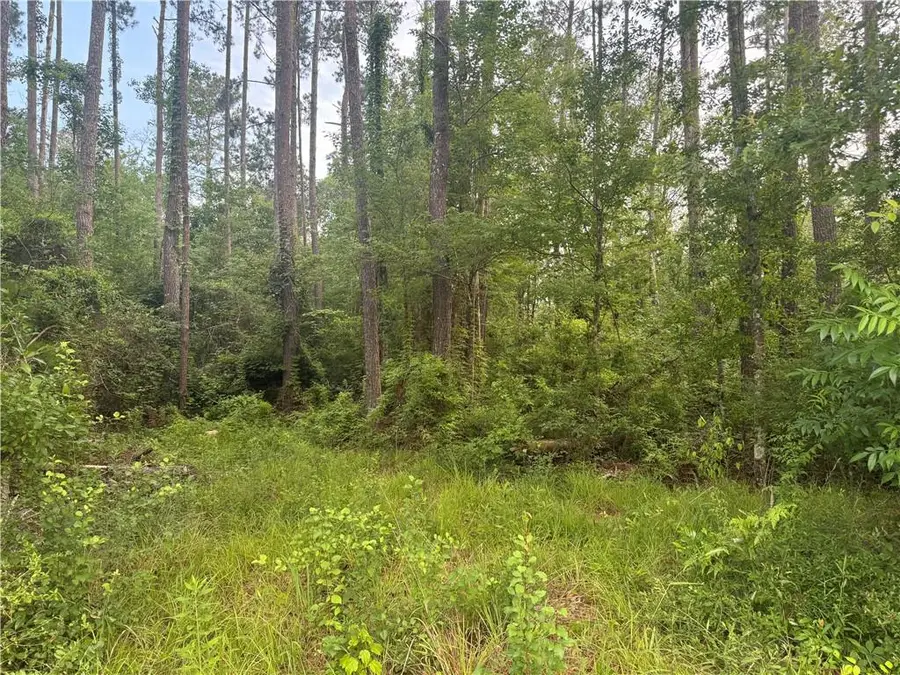 Russell Town Road, Roseland, LA 70456 - #2