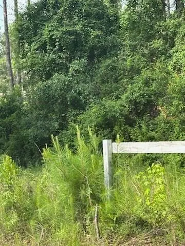 Chemekette Road, Robert, LA 70455 - #3