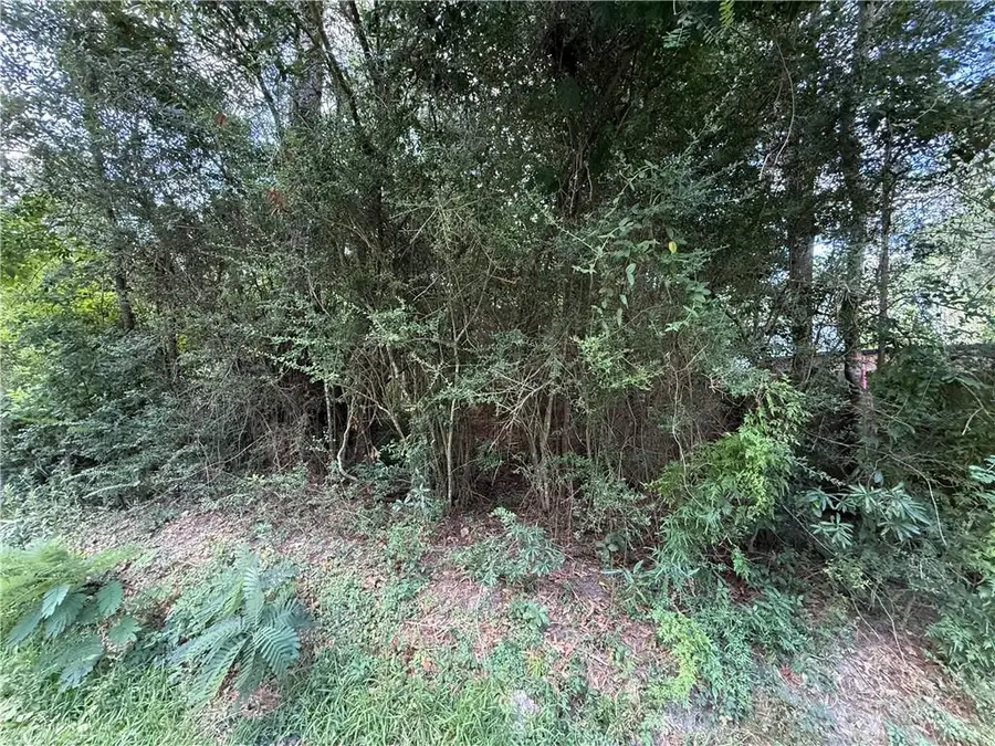 26028 E Birch Street, Lacombe, LA 70445 - #2