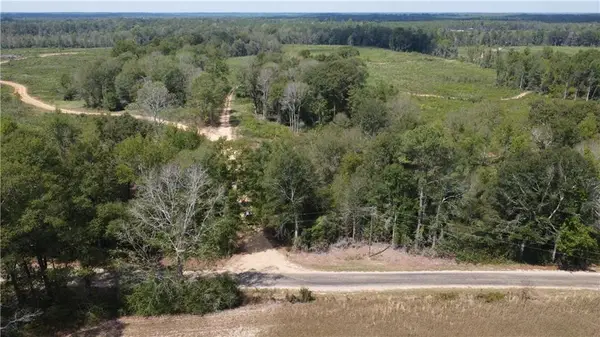 232 Acres Chess Bankston Road, Franklinton, LA 70438