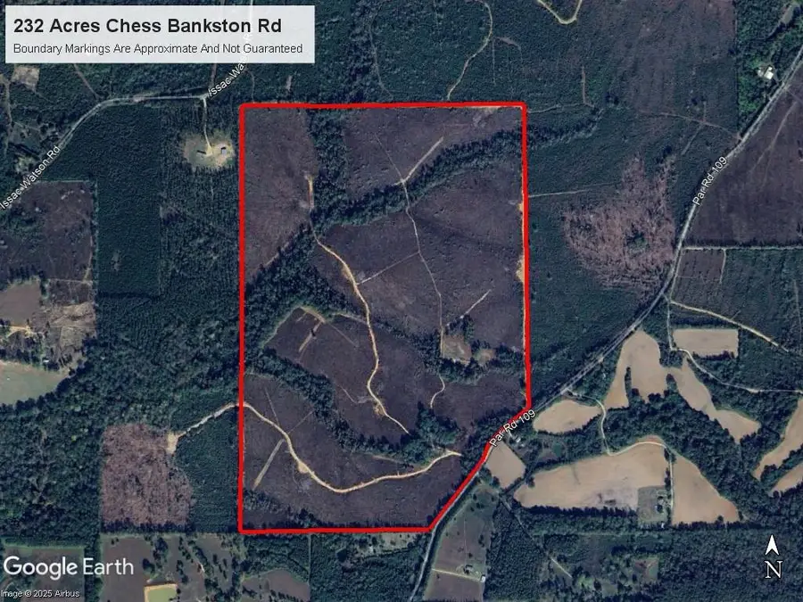 232 Acres Chess Bankston Road, Franklinton, LA 70438 - #2