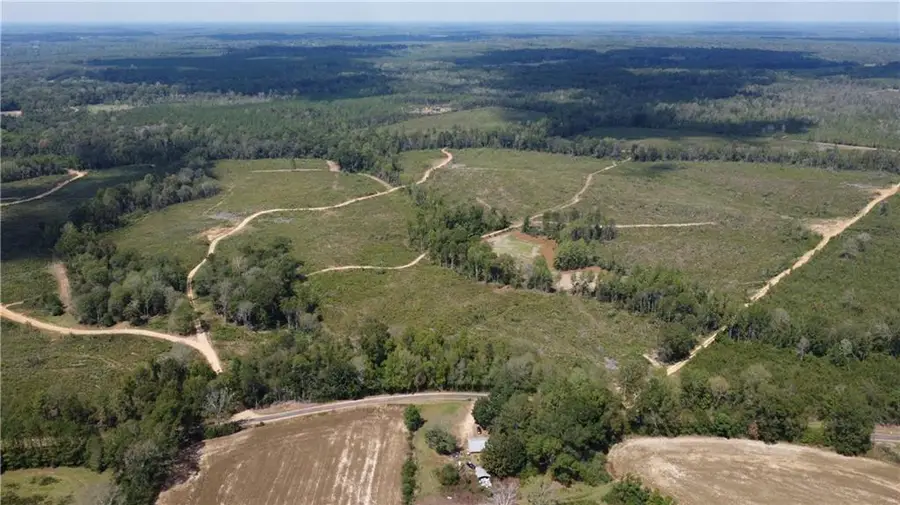 232 Acres Chess Bankston Road, Franklinton, LA 70438 - #3