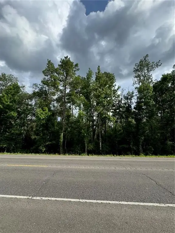 BP-7 Florida Boulevard, Holden, LA 70744 - #1