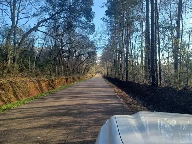 55485 Old Uneedus Road, Loranger, LA 70446 - #3