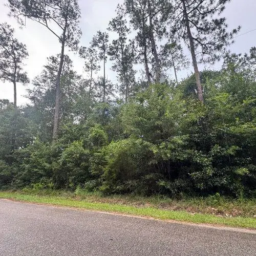 0 W Ruth Road, Lacombe, LA 70445 - #2