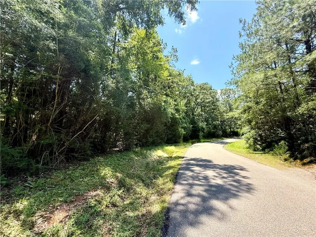 Lot 103 Lake Choctaw Drive, Franklinton, LA 70438 - #1