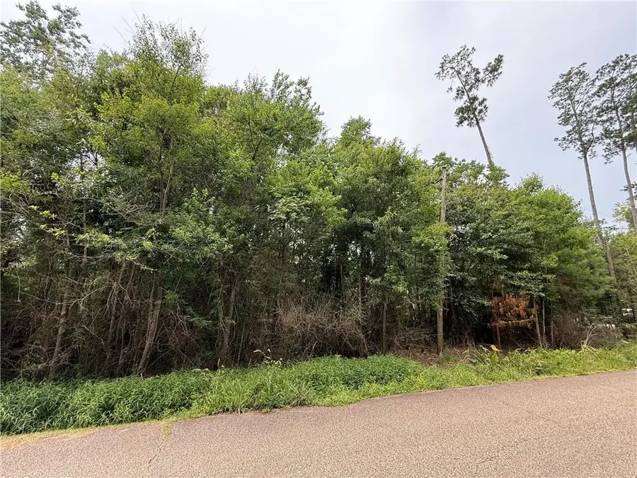 153A Derbes Drive, Covington, LA 70433 - #3
