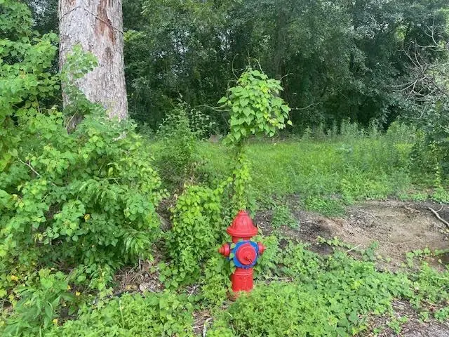 E 3rd Street, Reserve, LA 70084 - #1