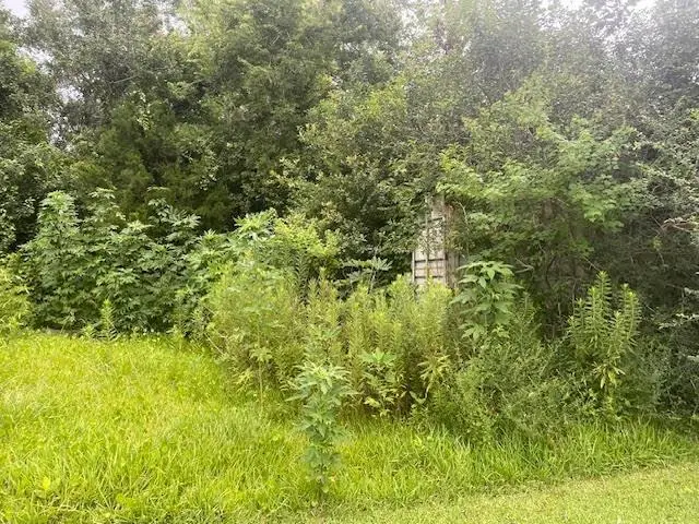 E 3rd Street, Reserve, LA 70084 - #3