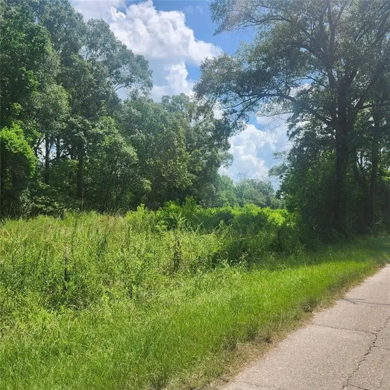 Calmes Road, Denham Springs, LA 70706 - #2