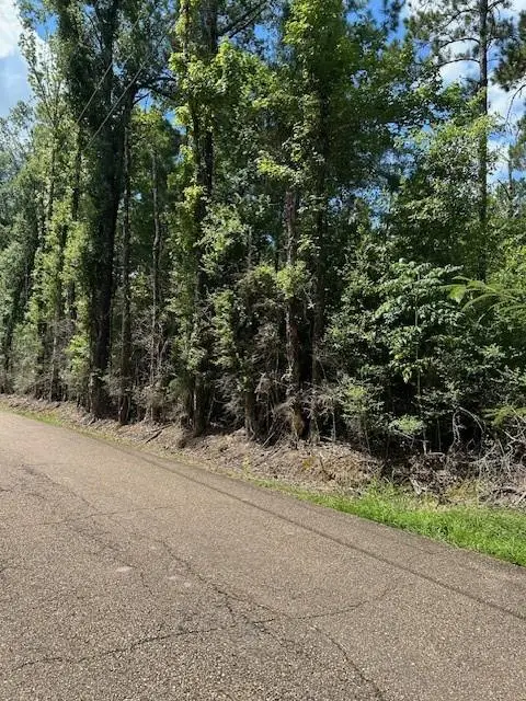 14181 E E. Russell Town Road, Roseland, LA 70456 - #2