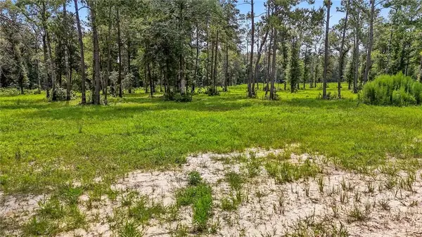 39492 Lee's Landing Road, Ponchatoula, LA 70454