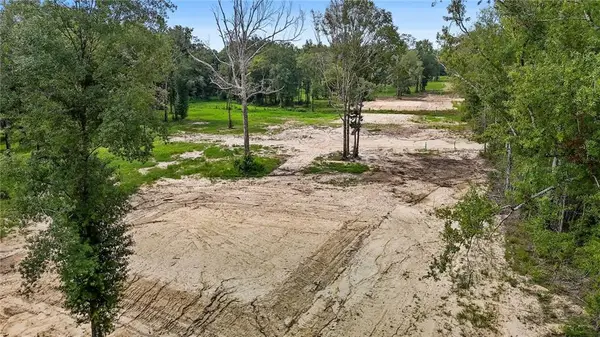 39560 Lee's Landing Road, Ponchatoula, LA 70454