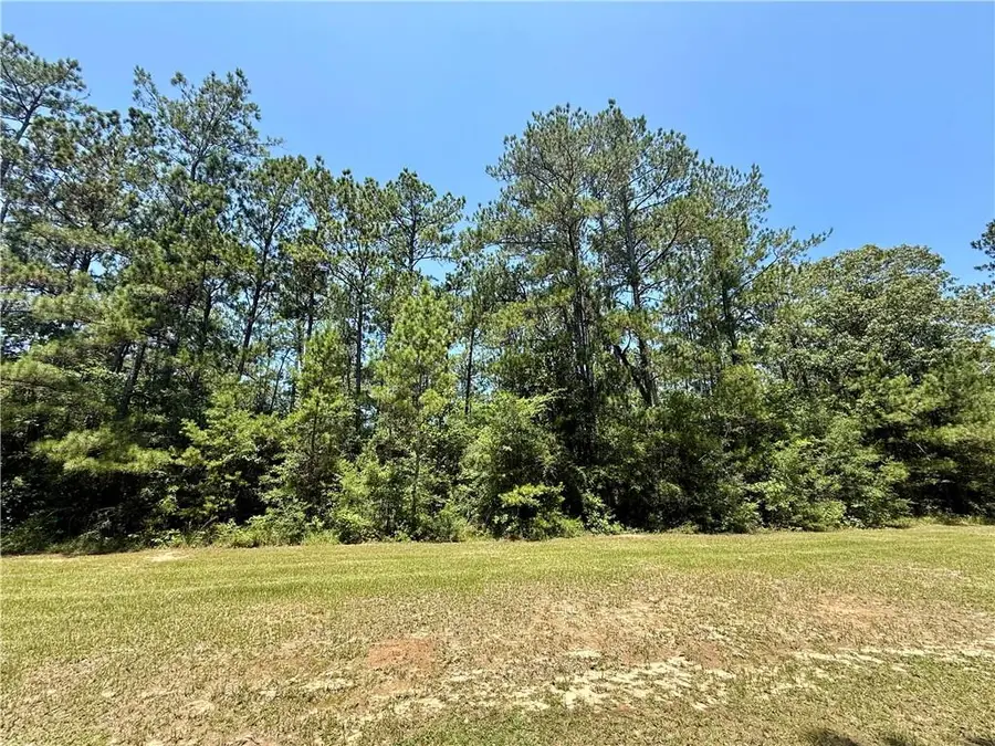 Tba Lake Choctaw Road, Franklinton, LA 70438 - #3