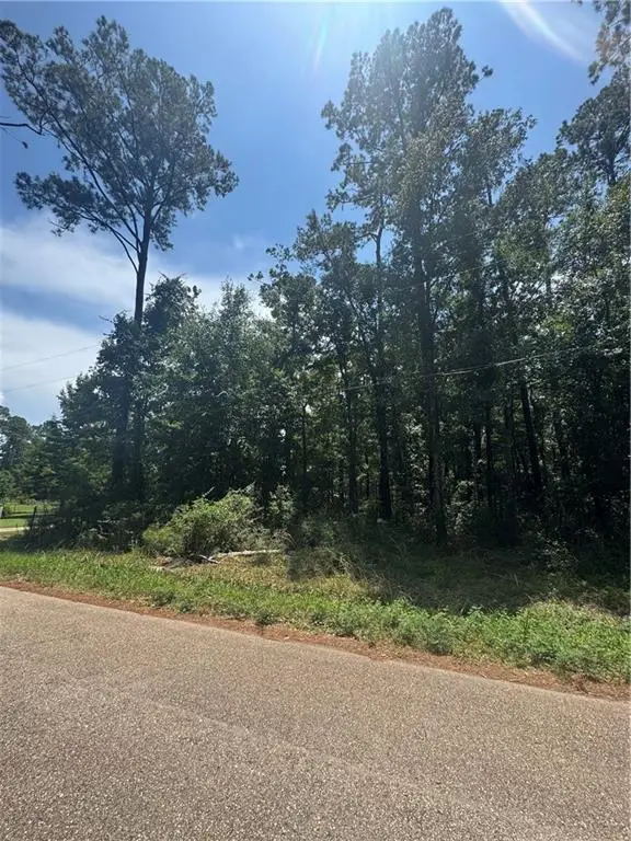 0 Lucille Drive, Lacombe, LA 70445 - #2