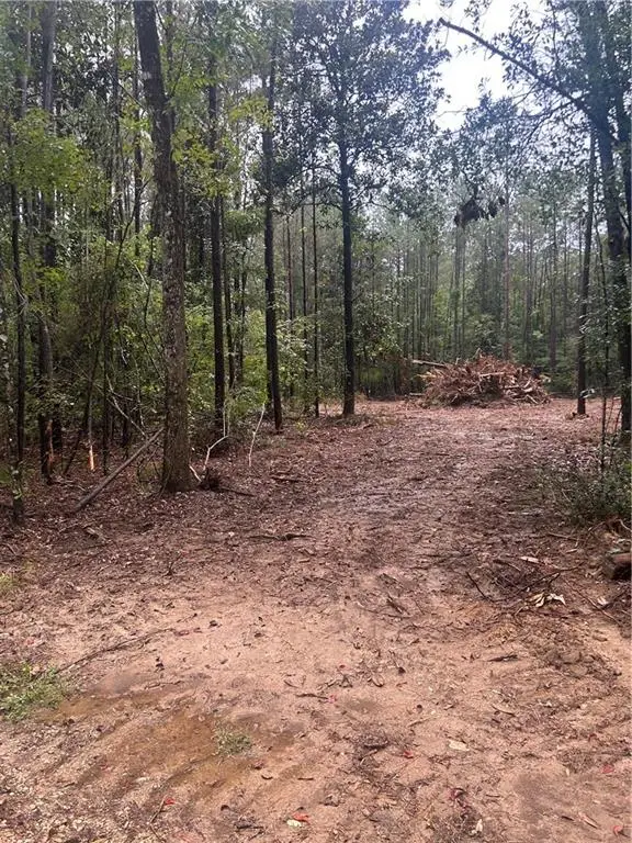 South Bennett Road, Independence, LA 70443