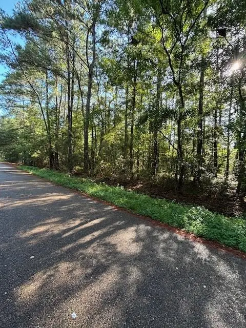 0 Kingbird Street, Covington, LA 70435 - #2