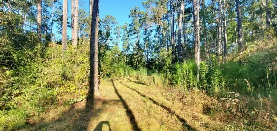 29260 Paquet Road, Lacombe, LA 70445 - #3