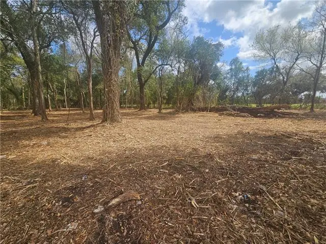 15411 River Road, Hahnville, LA 70057 - #2