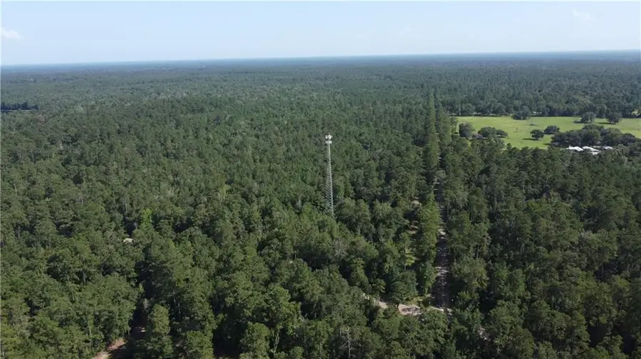 0 Highway 40 Highway, Folsom, LA 70437 - #3