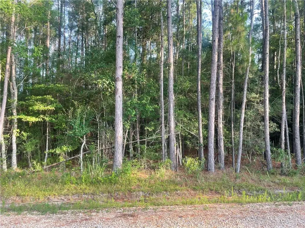Worsham Drive, Abita Springs, LA 70420 - #1