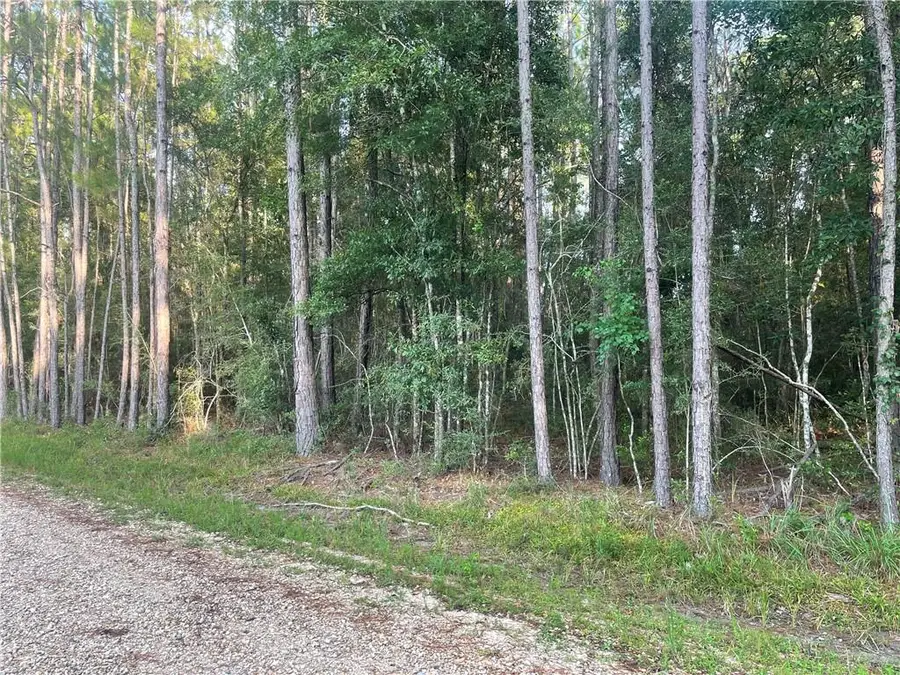 Worsham Drive, Abita Springs, LA 70420 - #2