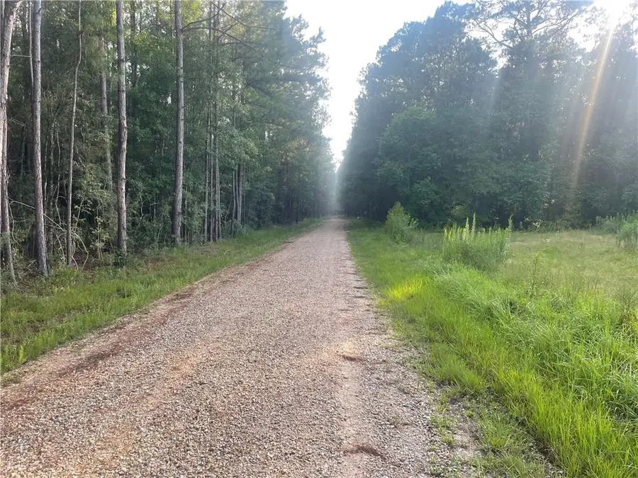 Worsham Drive, Abita Springs, LA 70420 - #3