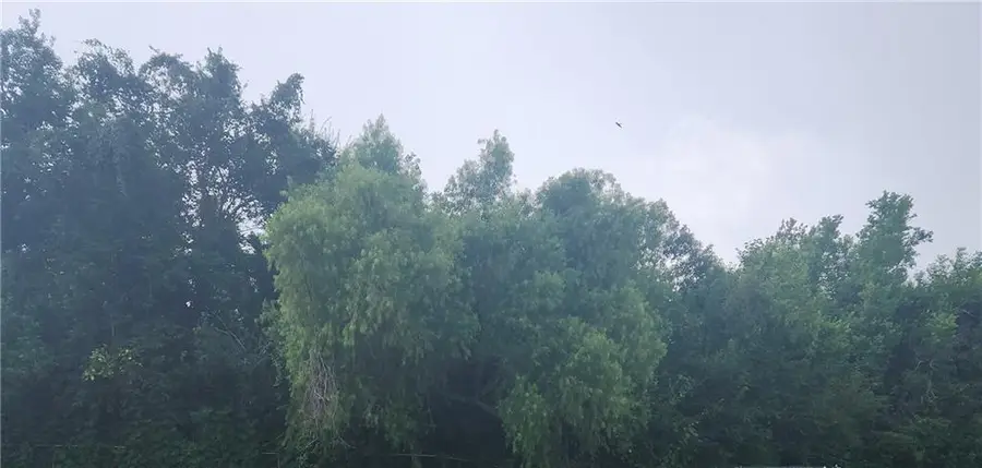 Address Withheld By Seller, Vacherie, LA 70090 - #2