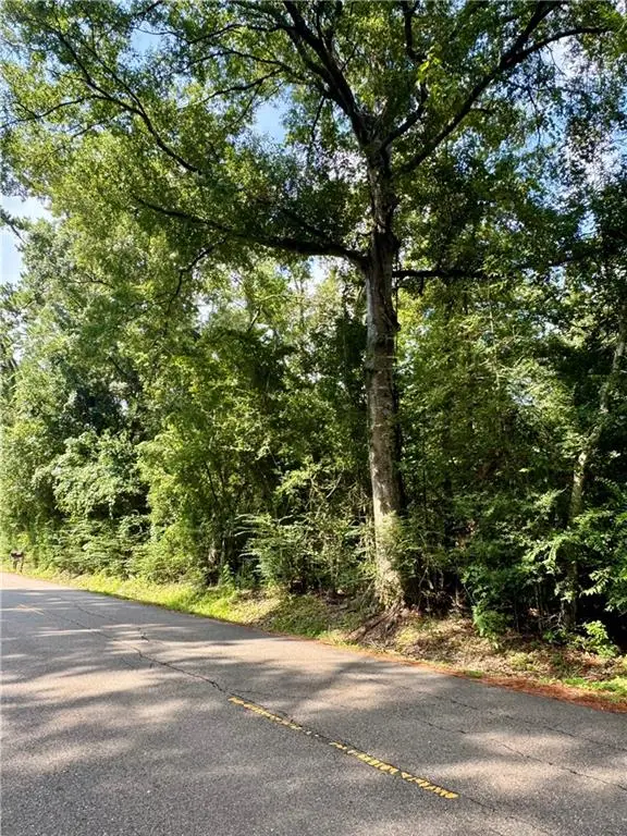 TBD W Yellow Water (5.10 Acres) Road, Hammond, LA 70403