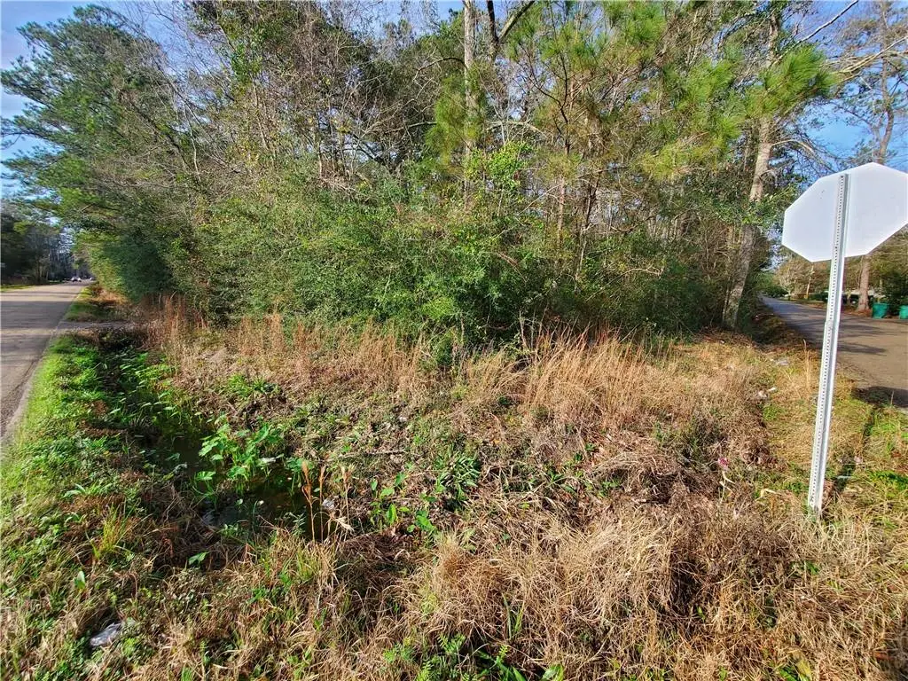 Jackson Street, Lacombe, LA 70445 - #1