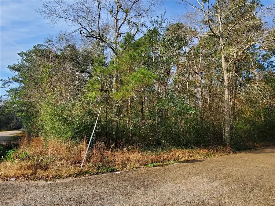 Jackson Street, Lacombe, LA 70445 - #2