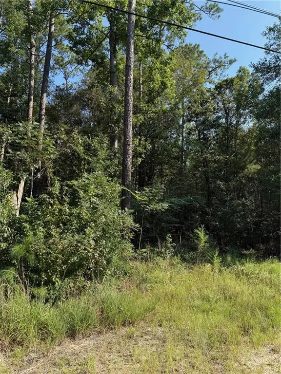 TBD Hwy 190 Highway, Covington, LA 70433