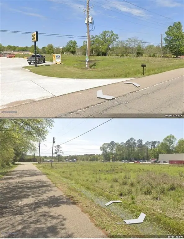 Coleman Road, Robert, LA 70455 - #3