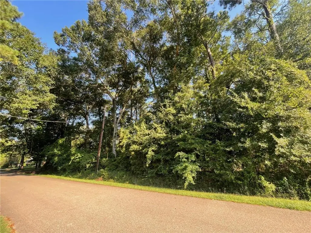 Lots 24 & 25 Spruce Drive, Covington, LA 70433 - #1