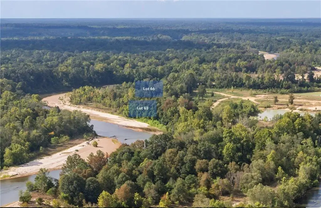 Lot 65 The Banks Drive - Hwy 16 Highway, Franklinton, LA 70438 - #1