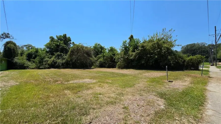 404 E Colorado Street, Hammond, LA 70401 - #3