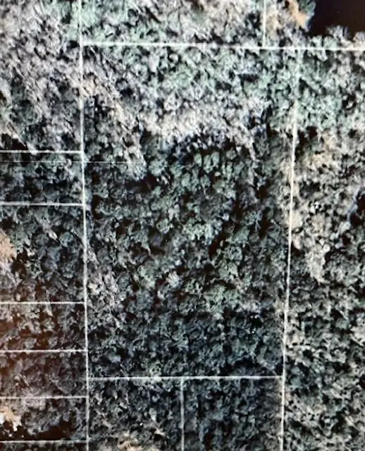 Highway 1085 Highway, Madisonville, LA 70447