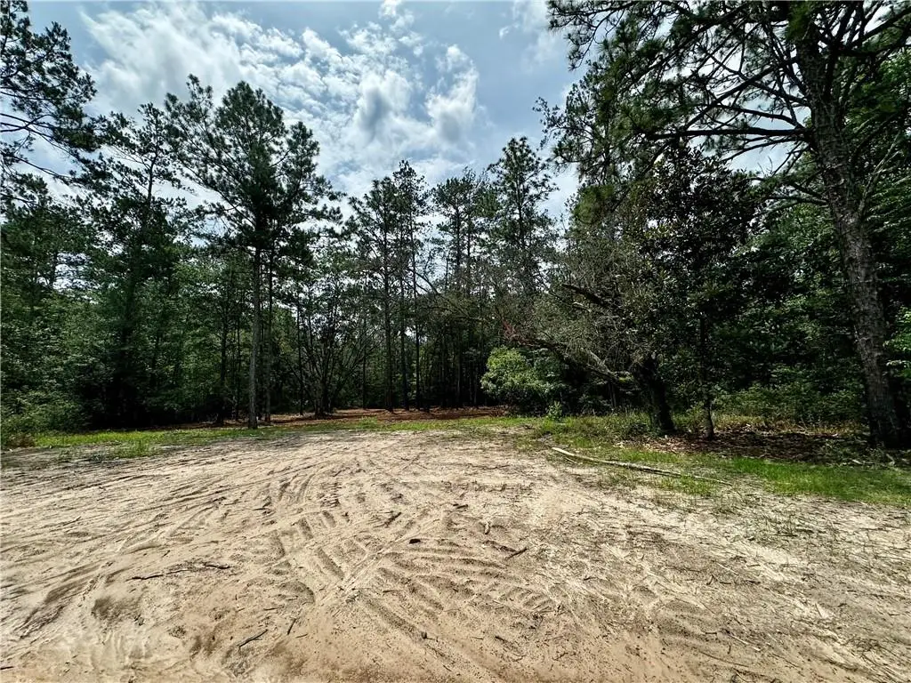 Lot 1 Ranchero Road, Covington, LA 70435 - #1