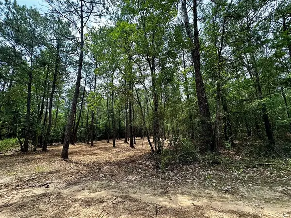 Lot 2 Ranchero Road, Covington, LA 70435