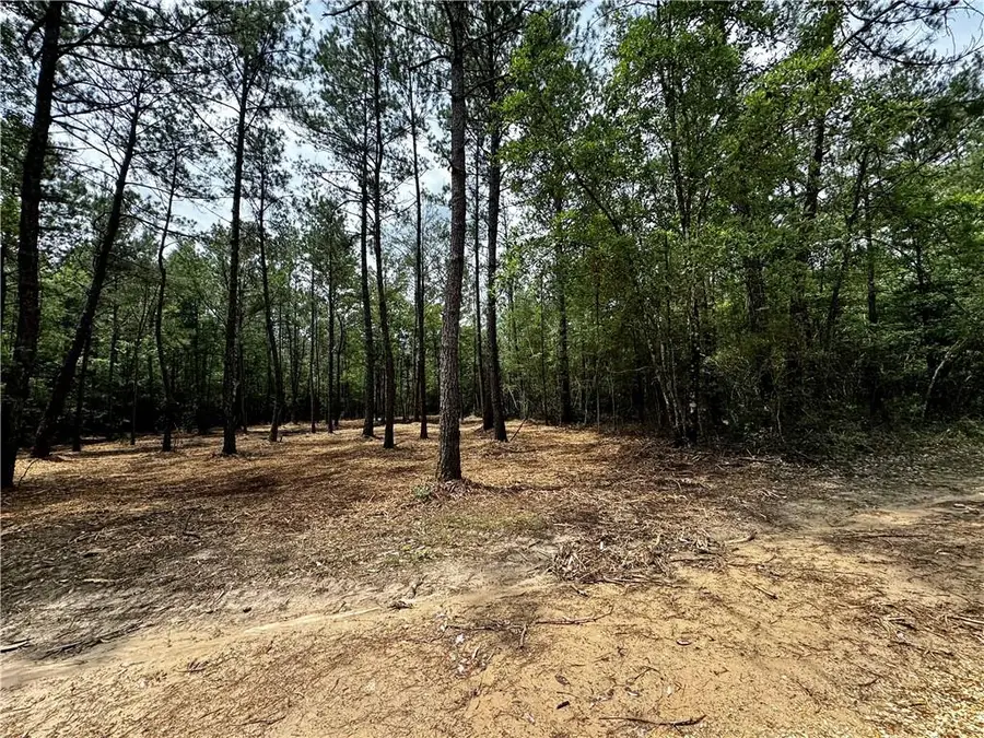 Lot 3 Ranchero Road, Covington, LA 70435 - #3