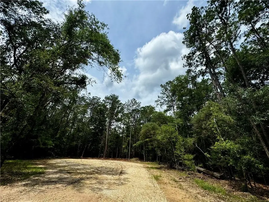 Lot 5 Ranchero Road, Covington, LA 70435 - #2