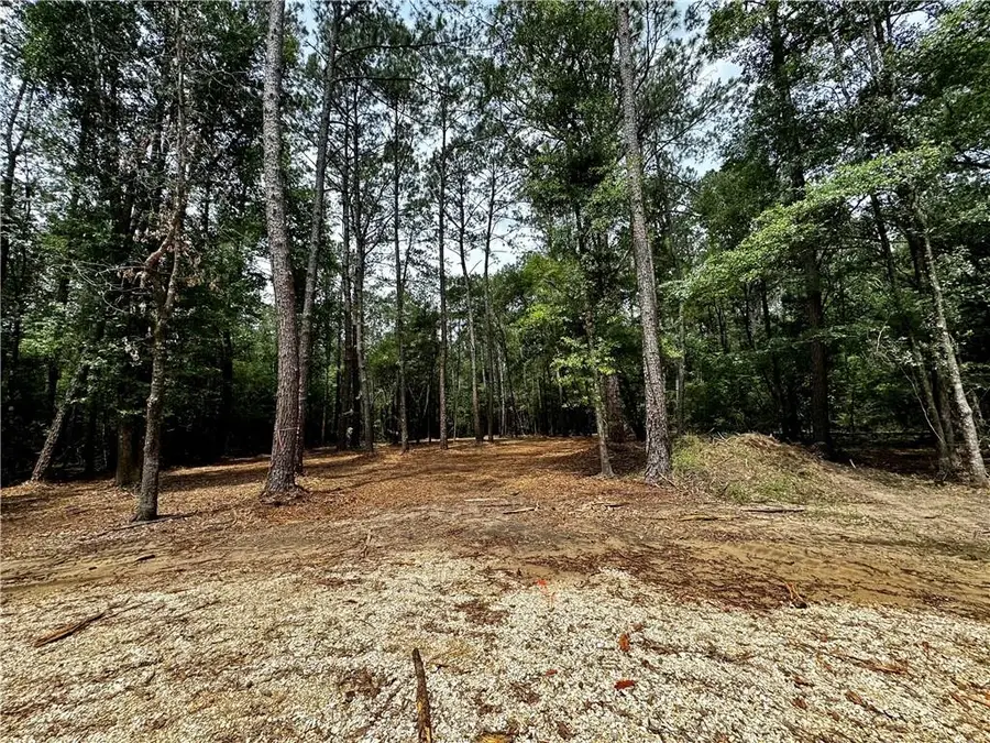 Lot 5 Ranchero Road, Covington, LA 70435 - #3