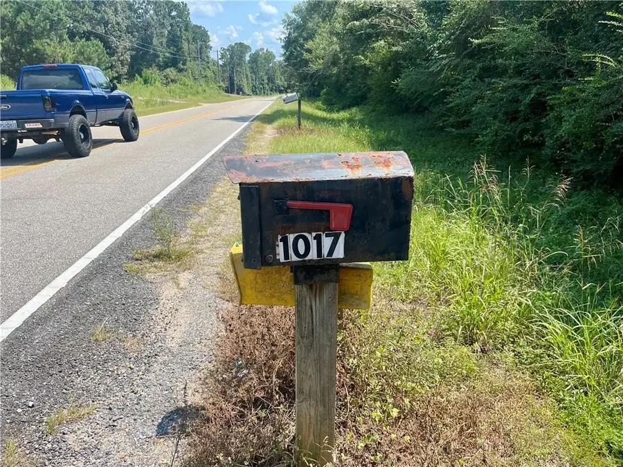 1017 Anchor Lake Road, Carriere, MS 39426 - #2