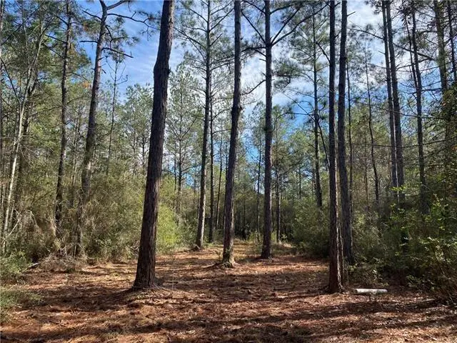 195 Mayhaw Road, Covington, LA 70435 - #3